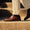 Our Marrone burgundy pelle cordovan Ganivèll derbies - Picture 1 - Velasca