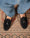 Our Blu scuro pelle di vitello scamosciata Brugnon tassel loafers - Picture 8 - Velasca