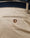 Our Beige 100% cotone Cisternino pantaloncini cargo - Picture 8 - Velasca