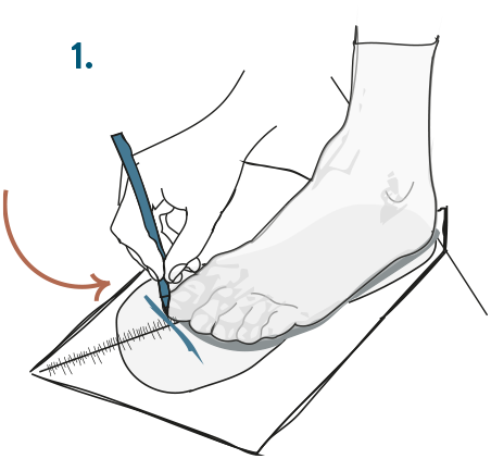 Lunghezza piede 2025 38 in cm