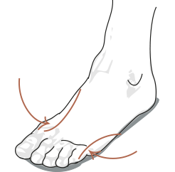 Guida alle taglie Scarpe Velasca