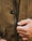 Our Verde oliva 100% cotone Mombaldone parka - Picture 8 - Velasca